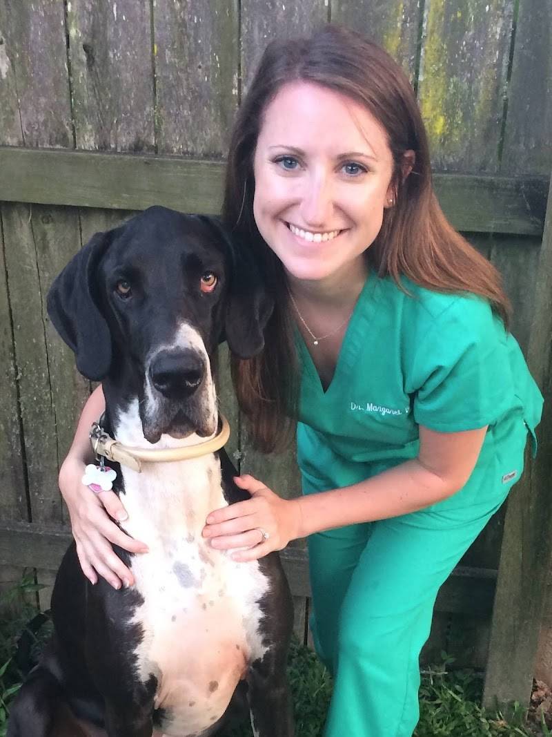 Azalea Lakes Veterinary Clinic