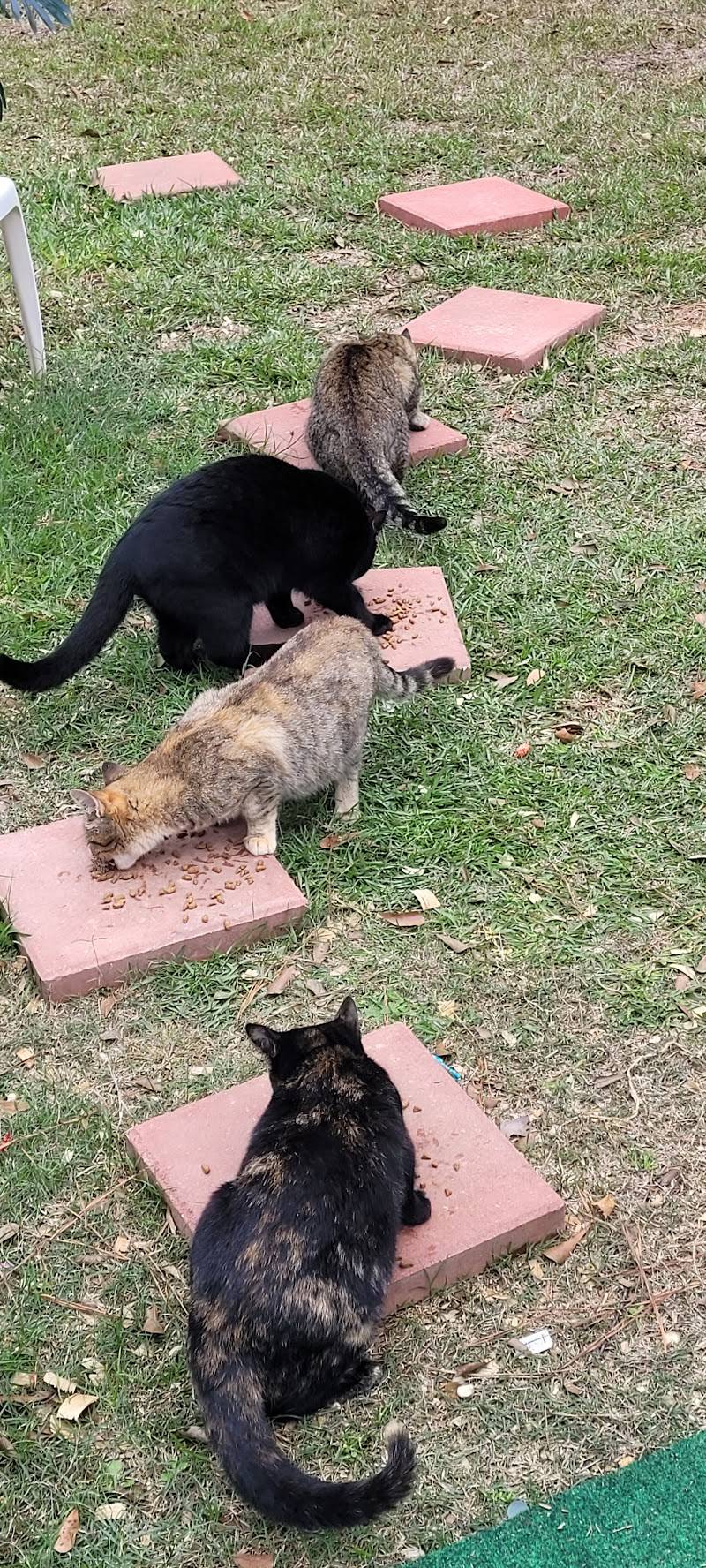 Azalea Lakes Veterinary Clinic